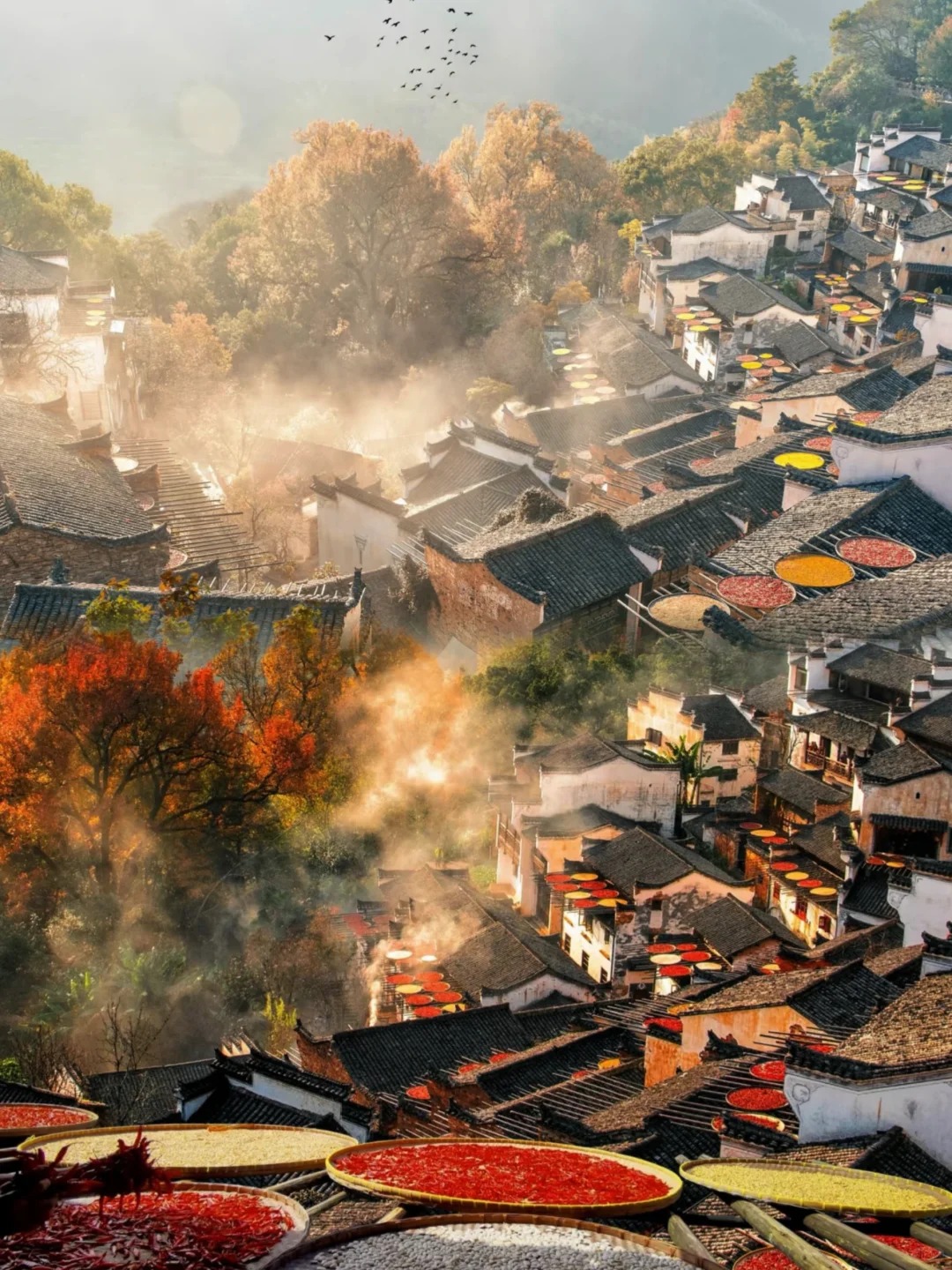 篁岭，把日子过成诗_1_不见虞美人_江西婺源-来自52tours 我爱旅游网